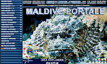 Malediven Portal (Italiano) - nur bis Oktober 2020