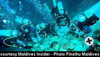 courtesy Maldives Insider - Finolhu  transplants 1200 Coral Colonies .