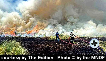 courtesy The Edition - Addu Citys Mathikilhi Eco Garden devastated by fire