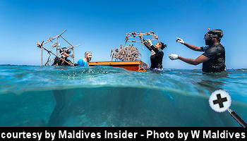 courtesy Maldives Insider - W Maldives sets coral restoration