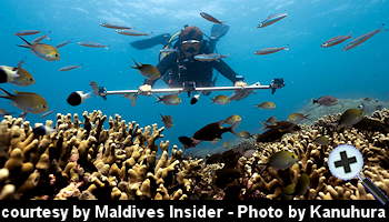 courtesy Maldives Insider - Six Senses Kanuhura Reef